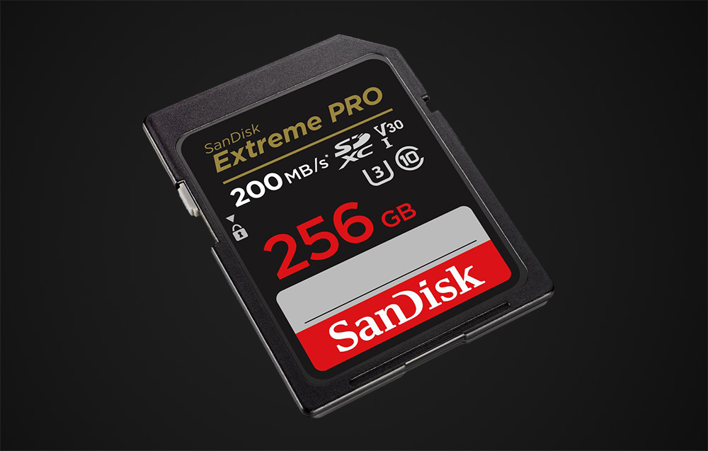 なども SDSDXXD-256G-GN4IN：秋葉Direct 店 スピードク - www.tomislavnews.com