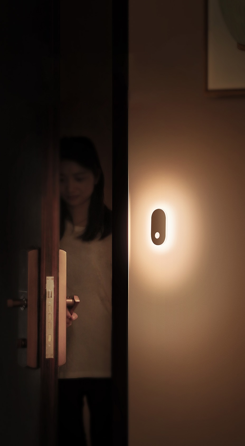 baseus entrance light