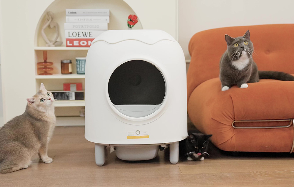 Xiaomi lança caixa de areia inteligente para gatos com funções