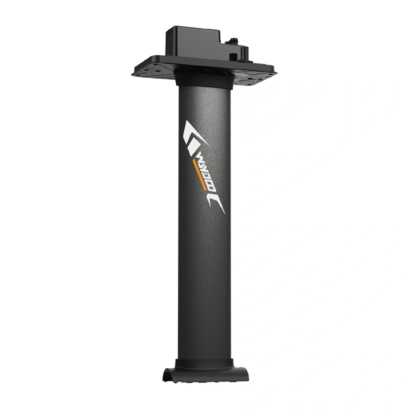 Mast for WAYDOO EVO 31" boards (79 cm) 2