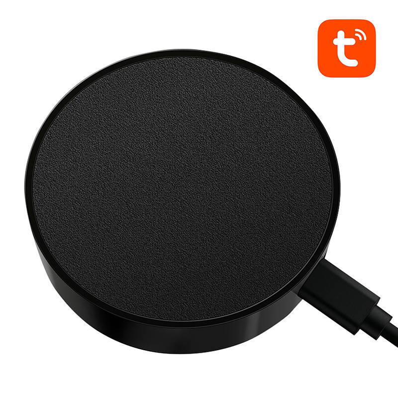 Pilot IR AVATTO S16 Wi-Fi Tuya 2