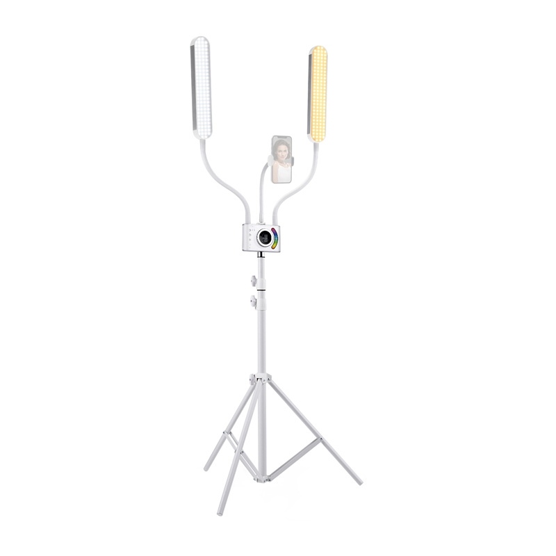 NEEWER BH40B Esthetician Light Kit