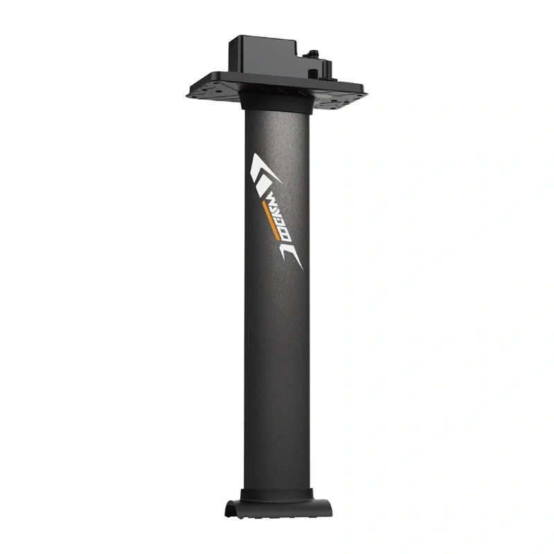 Mast for WAYDOO EVO 31" boards (79 cm) 4